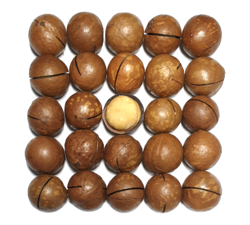 Орех макадамия неочищенный