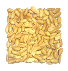 Арахис очищенный жареный соленый