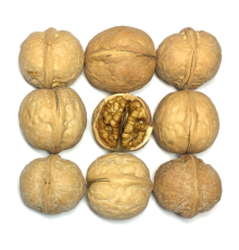 Грецкий орех в скорлупе