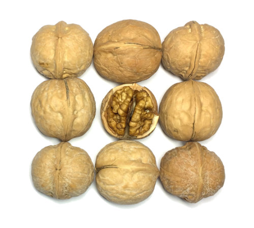 Грецкий орех в скорлупе